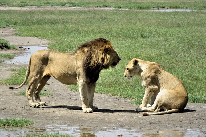 6- Day Adventure Lodge safari to see Migration - What this six-day Tanzania safari is really offering