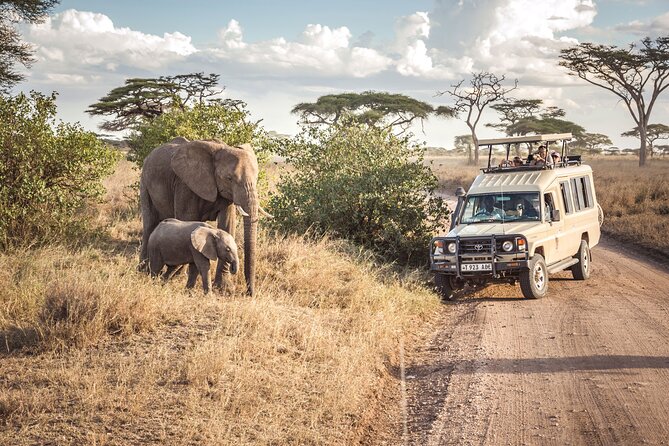 6- Day Adventure Lodge safari to see Migration - Day 5: From Serengeti to Ngorongoro’s rim