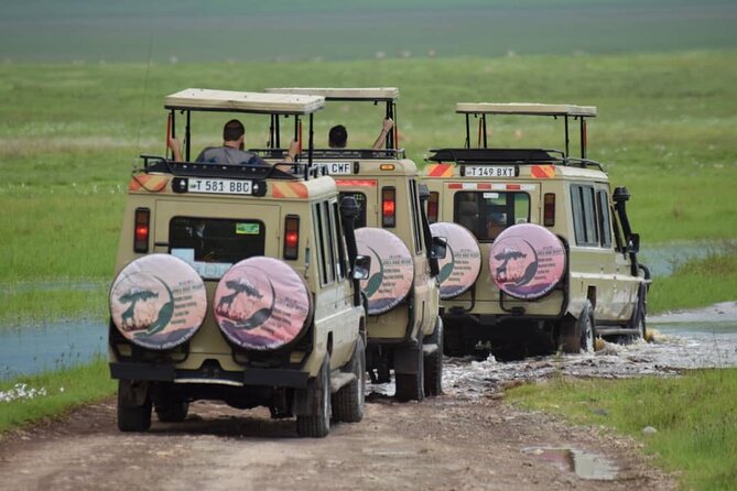 6-Day Big Five Magic Safari Tour - Starting in Tarangire With Elephants and Baobabs