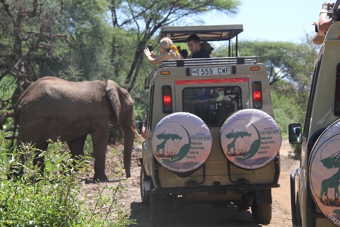 6-Day Big Five Magic Safari Tour - Crossing to the Serengeti on Day Two