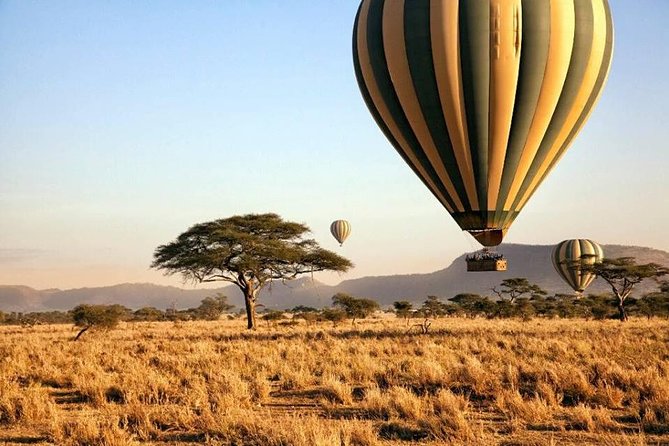 6-Day Budget Lodge Safari in Tanzania - Day 6: Ngorongoro Crater and the big five