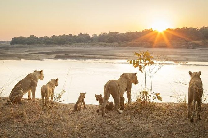 6-Day Budget Lodge Safari in Tanzania - Day 2: Lake Manyara for forest, birds, and baboons