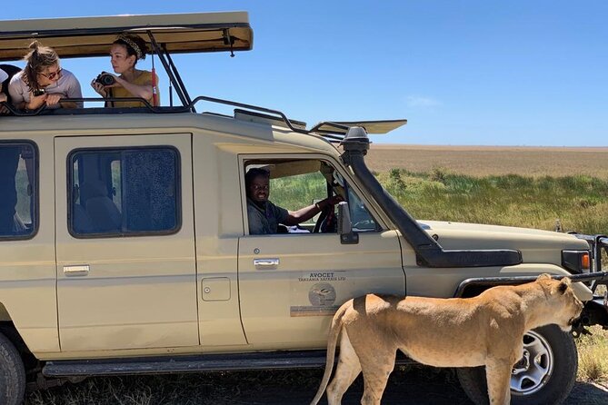 6 Day Group Camping Safari Tarangire Serengeti Ngorongoro Manyara - Day 6: Birds, elephants, and Lake Manyara