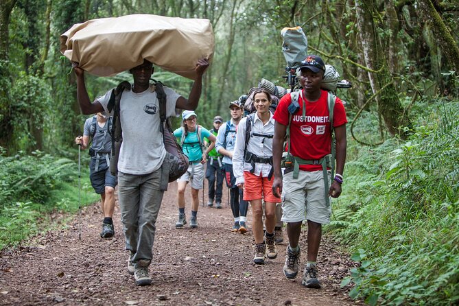 6-Day Guided Tour in Machame Route Mt Kilimanjaro - Day 2: Heather and moorland on the way to Shira