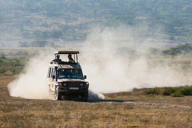 6-Day Honeymoon Safari Tour Package in Tanzania - Starting gently in Arusha after your airport pickup