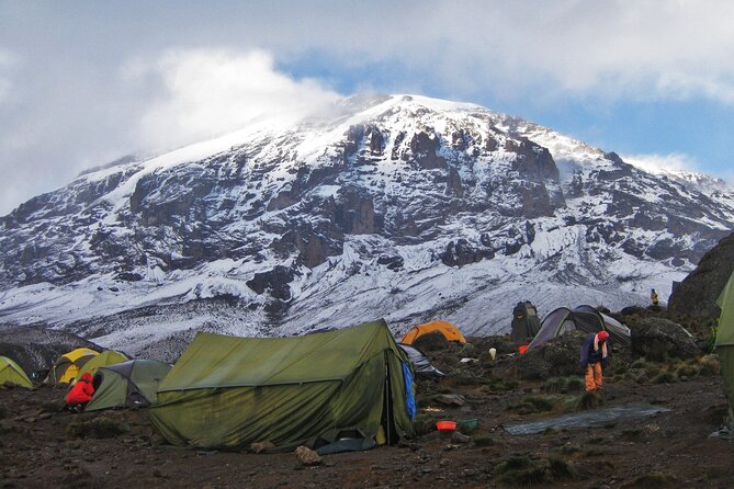 6-Day Kilimanjaro Climbing Via Machame Route - Day 6: Mweka descent and the return to Moshi