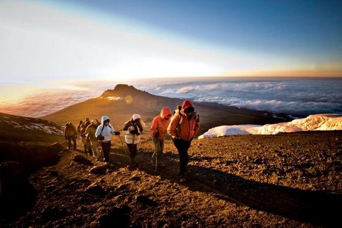 6-Day Kilimanjaro Machame Route – A Stunning Trek to Uhuru Peak - Starting in Moshi and reaching the Machame Gate
