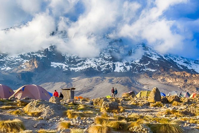 6-Day Kilimanjaro Umbwe Route–Steep,Adventurous, Challenging Path - Key points to know before choosing Umbwe