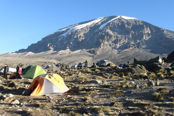 6-Day Kilimanjaro Umbwe Route–Steep,Adventurous, Challenging Path - Why the Umbwe Route feels different