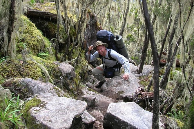 6-Day Kilimanjaro Umbwe Route–Steep,Adventurous, Challenging Path - Day one: Umbwe Gate to Bivouac Camp