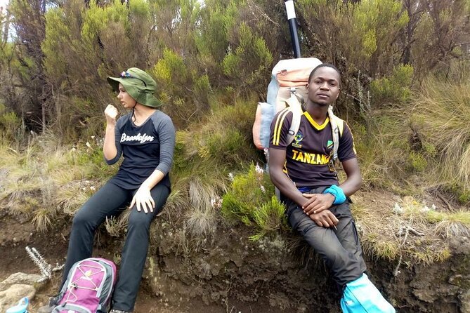 6 Day Machame Route - Climb Mount Kilimanjaro - Day 6: Descending through rainforest to Mweka Gate