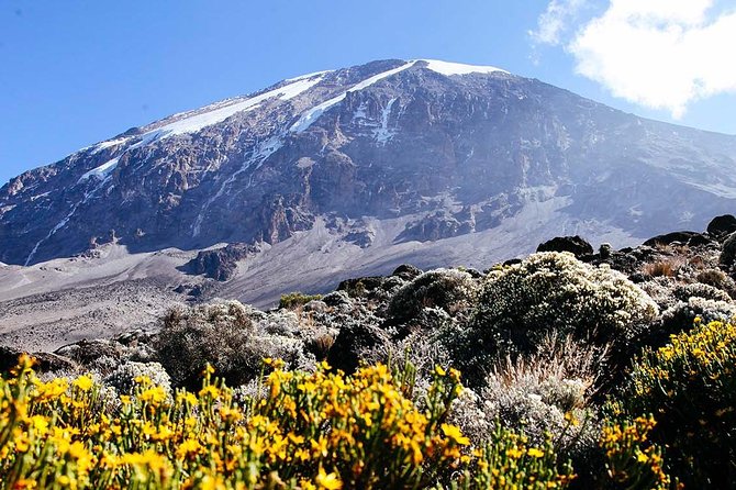 6 Day Machame Route - Climb Mount Kilimanjaro - Day 1 on the Machame Route: Rainforest and wet trails