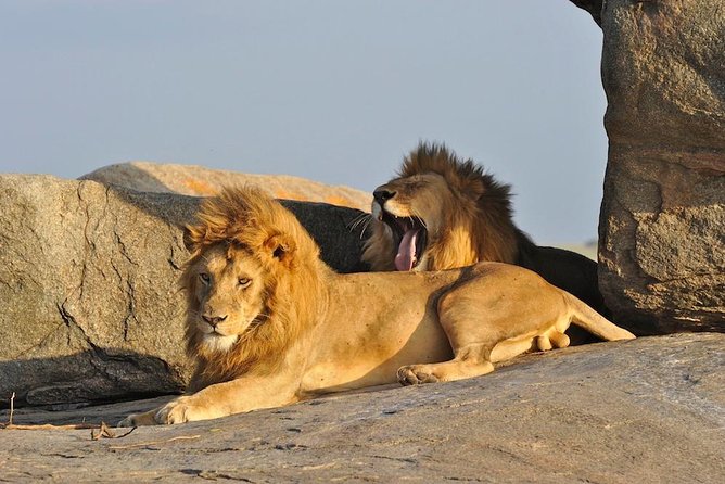6 Day: Magnificent Wildlife Adventure - Key things to know before booking