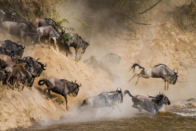 6 Day: Magnificent Wildlife Adventure - Why this safari works for a first Tanzania trip