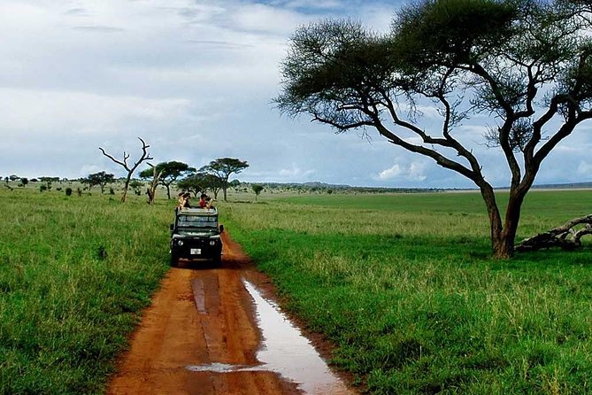 6 Day: Magnificent Wildlife Adventure - Day 3: A flexible Serengeti day