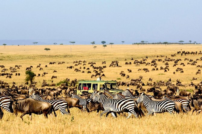 6 Day: Magnificent Wildlife Adventure - Day 2: The long, rewarding road into Serengeti