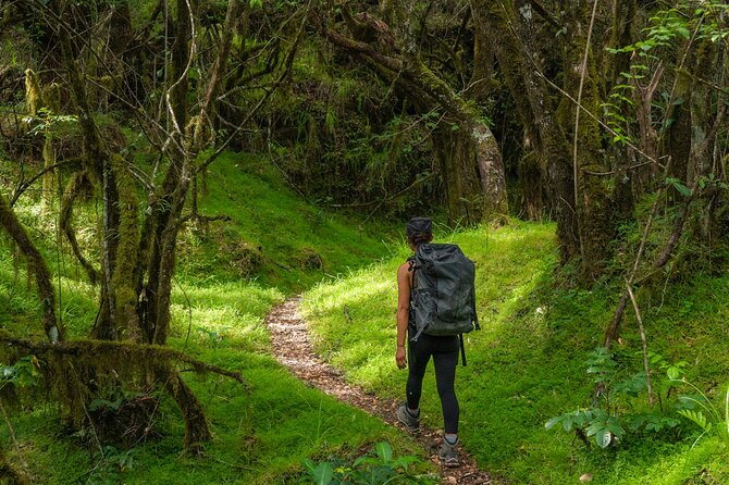 6-Day Mount Meru Climb through Momella Route Guided Tour - Why Mount Meru deserves more than a quick glance