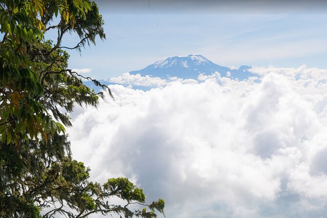 6-Day Mount Meru Climb through Momella Route Guided Tour - Day four: Socialist Peak and the crater ridge