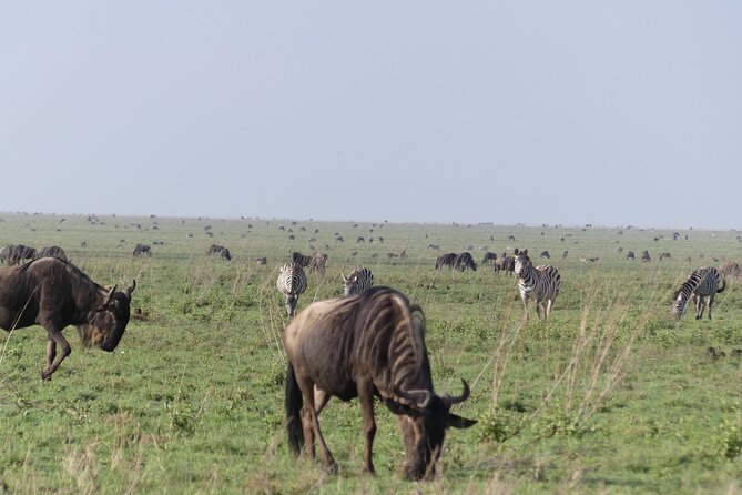 6-Day Northern Safari - Sunrise, one last game drive, and Ngorongoro Crater