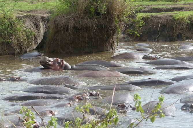 6-Day Northern Safari - What $2,600 buys you