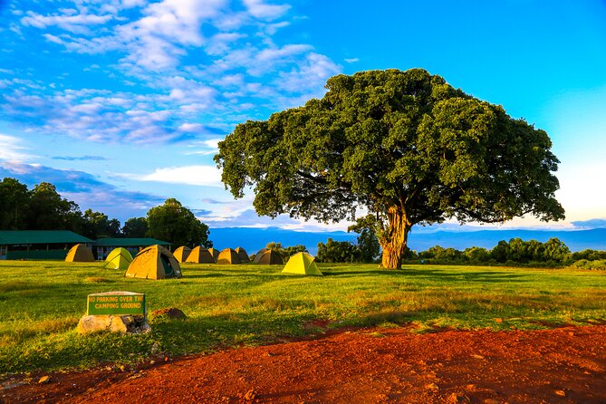 6 Day Private Camping Safari - Day 1: A simple Arusha arrival night