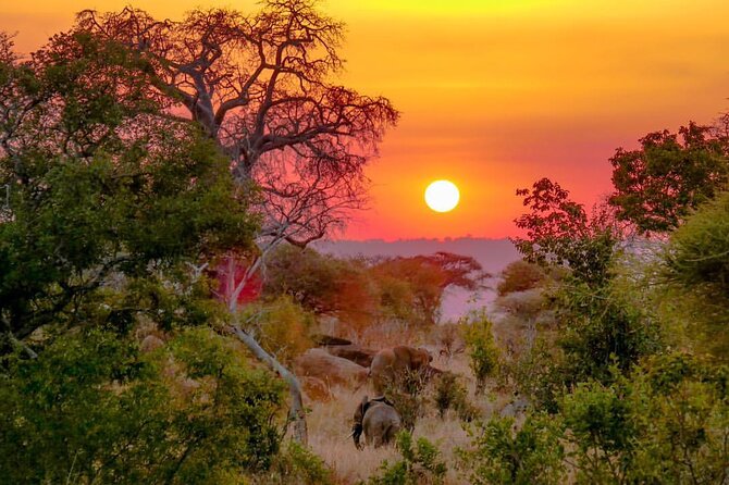 6-Day Private midrange Tour in Arusha with Airport Pickup - Day four: A full day in central Serengeti