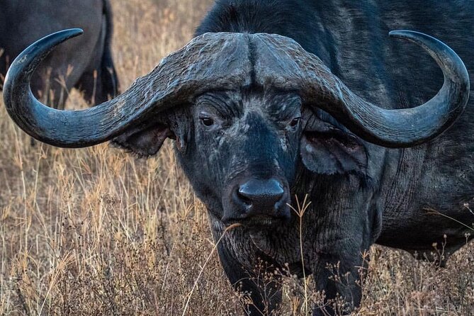 6-Day Private midrange Tour in Arusha with Airport Pickup - Day two: Lake Manyara and seasonal flamingos
