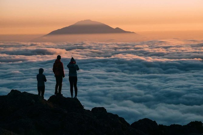 6-Day Rongai Route Trek in Mount Kilimanjaro - Day 4: Across the lunar saddle to Kibo Hut