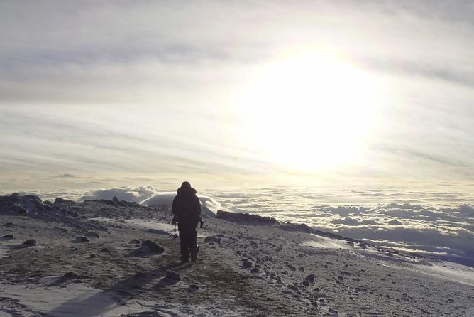 6-Day Rongai Route Trek in Mount Kilimanjaro - Day 5: The long push to Uhuru Peak