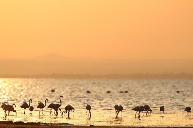 6-Day Serengeti Migration: Private Safari with Mid-range Luxury - Days 3 and 4: Give the Serengeti the time it deserves