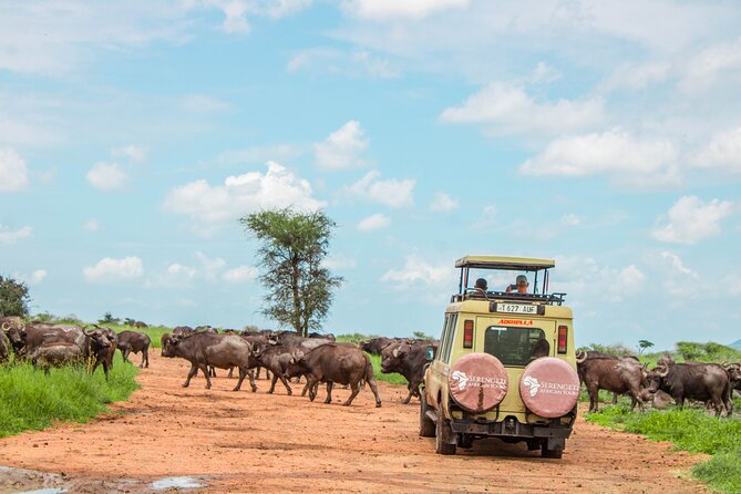 6 Day Serengeti wildebeest migration Camping Safari - How this six-day route fits together