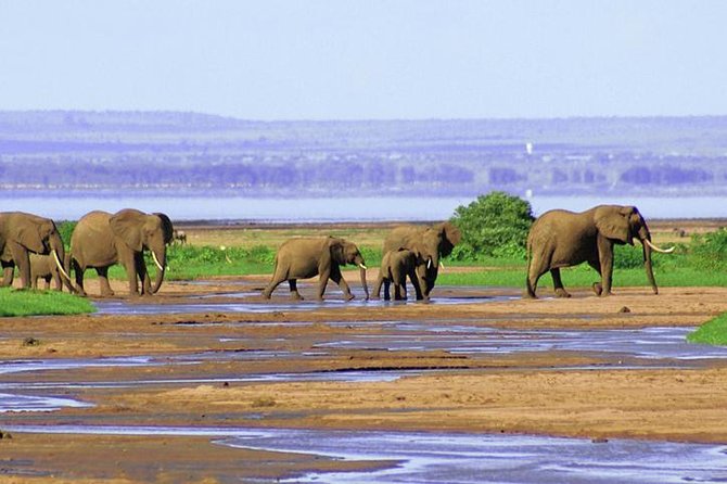 6 Day Serengeti wildebeest migration Camping Safari - Camping, meals, and comfort in the vehicle
