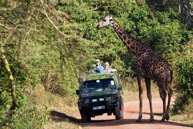 6 Day Serengeti wildebeest migration Camping Safari - Is $15,000 good value?