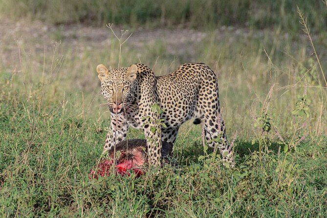 6-Day Tanzania Adventures Safaris - Group Joining Camping Safaris - Why this six-day route works