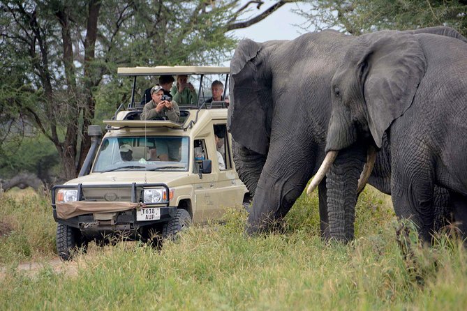 6-Day Tanzania Camping Safari: Lake Manyara, Serengeti, Ngorongoro Cater and Tarangire National Park from Arusha - What this six-day safari is really offering