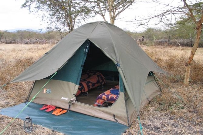 6-Day Tanzania Camping Safari: Lake Manyara, Serengeti, Ngorongoro Cater and Tarangire National Park from Arusha - Day 6: Lake Manyara before the return to Arusha