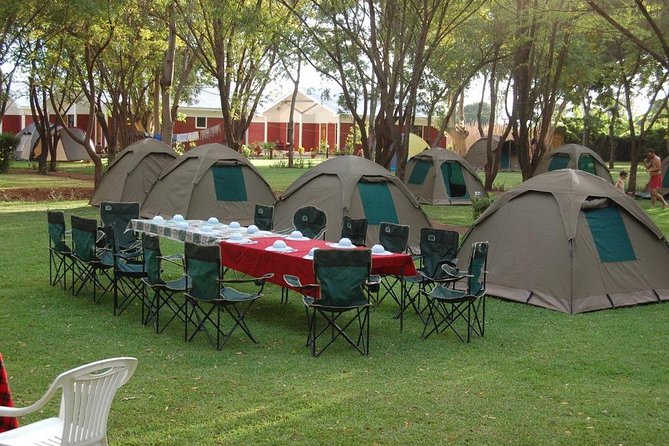 6-Day Tanzania Camping Safari: Lake Manyara, Serengeti, Ngorongoro Cater and Tarangire National Park from Arusha - Camping, meals, and what you actually receive