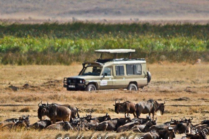 6 Day Tanzania Wildlife Mid range Safari - The 4x4 vehicle and group size