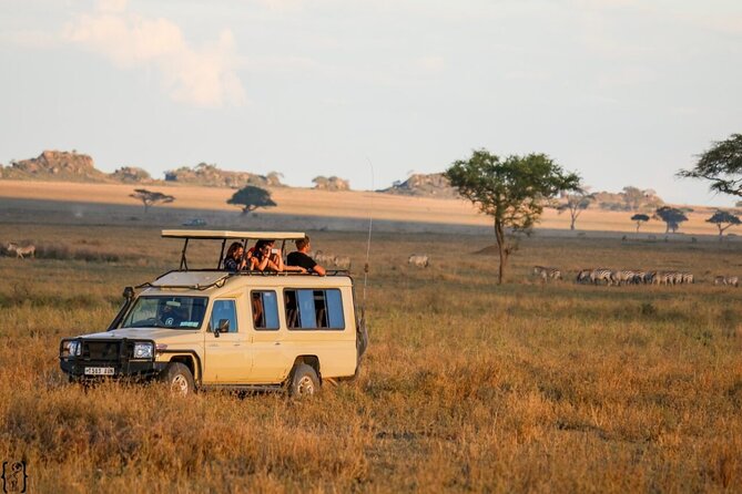 6-Day Unforgettable Tour in Tanzania - Day 1: Tarangire’s elephants and giant baobabs