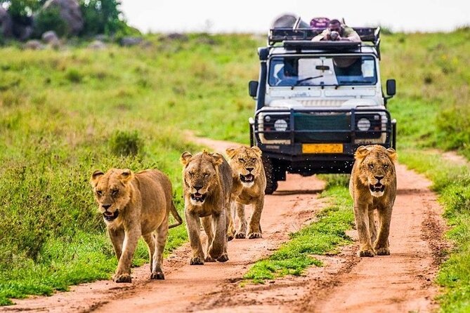 6-Day Unforgettable Tour in Tanzania - Day 2: The long road to the Serengeti