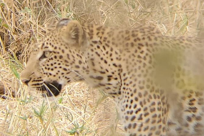 6 Days 5 Night Safari - Why this safari route works so well