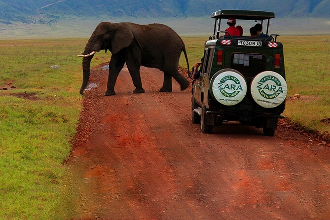6 Days 5 Night Safari - Day 3: Into the Serengeti and the migration story
