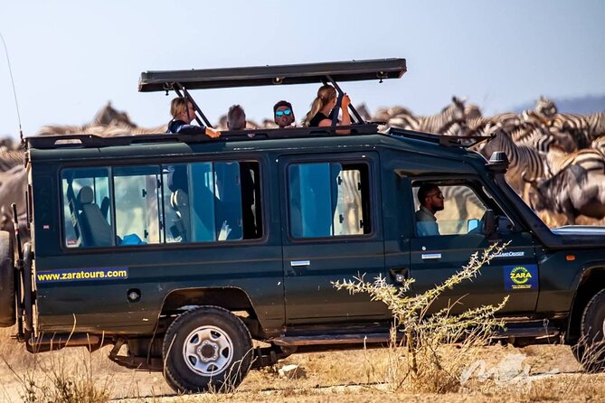 6 Days 5 Night Safari - Day 4: Olduvai Gorge and the rim of Ngorongoro
