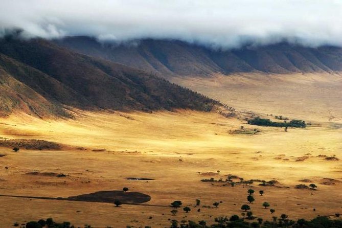 6 Days 5 Nights lodge safari Tarangire, Manyara, Serengeti & Ngorongoro Crater - Why This Northern Tanzania Route Works
