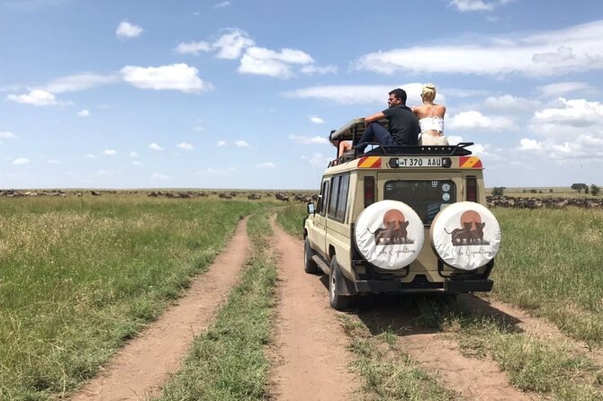 6 days 5 nights safari Ngorongoro, Serengeti and Tarangire National Parks - Day 5: Another dawn drive and the route back toward Ngorongoro