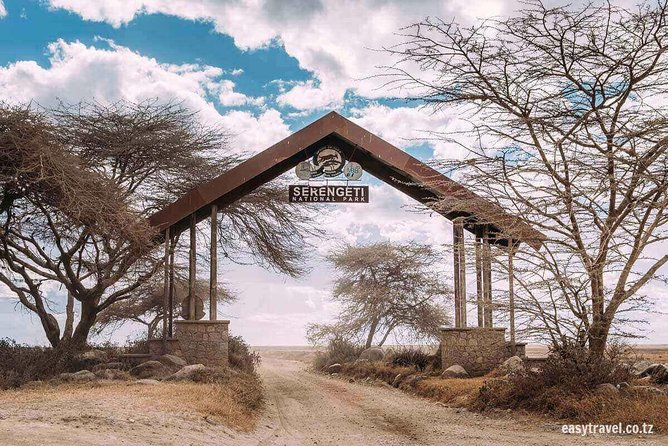 6 days 5 nights safari Ngorongoro, Serengeti and Tarangire National Parks - Day 2: Tarangire and the elephant country