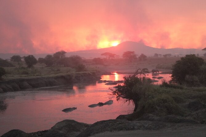 6 Days Adventure Towards Serengeti, Ngorongoro and Tarangire - Day 1: Tarangire’s elephants, river, and baobabs