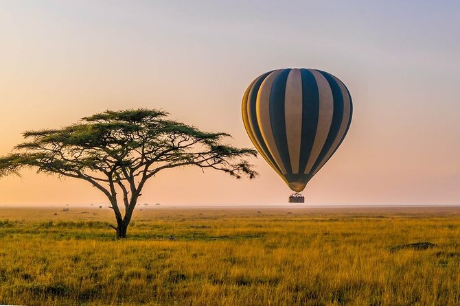 6 Days best adventure kilimanjaro ,Tarangire ,Serengeti &Ngorongoro crater - Serengeti Plains: Big Cats, Open Skies, and Long Roads