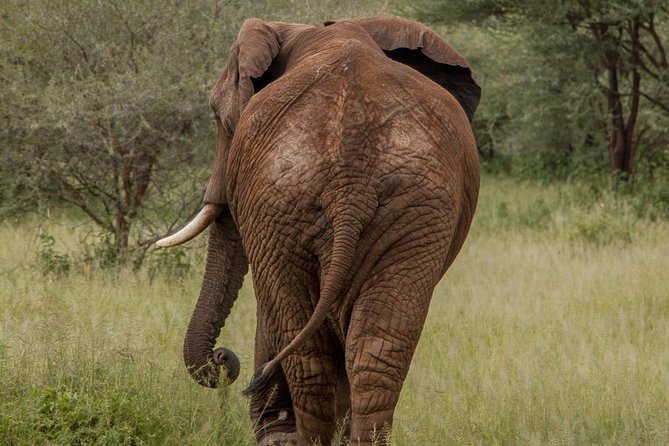 6 Days - Best of Nothern Parks Safari - Day 2: The long road into Serengeti