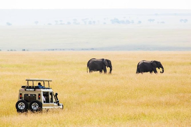 6 Days Budget Tanzania Camping Safari - Day 1: Tarangire begins with elephants and open country